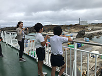 048fe32d62824d059f0dedc8d997ab61