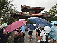 3fba9aae68d14fd18e4e99782300f1c8