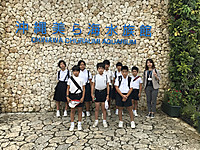 32a730cbb5c842388878d4f634479216