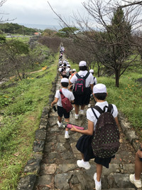 4d887c52a4634c8a93a4dc035f1331b0