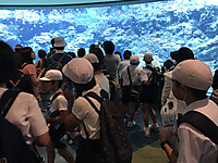 Deb63a2ad70f47f8b0dad524554b15c6