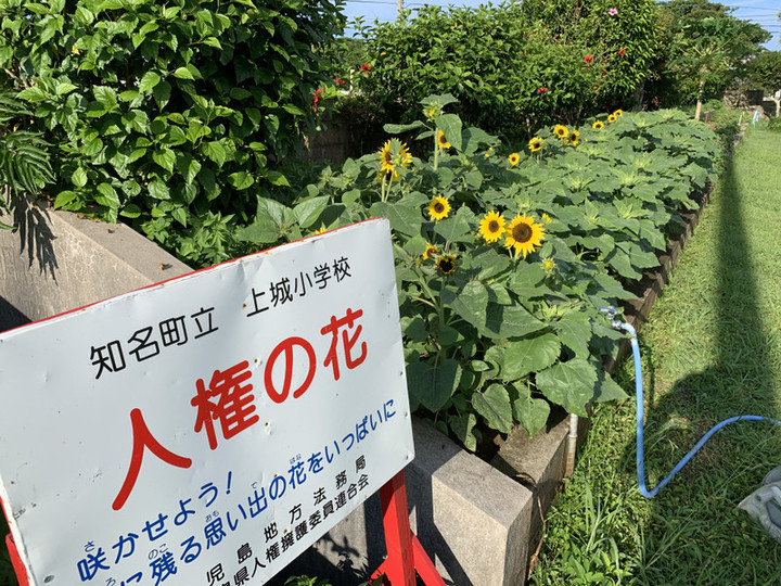 88d7b3cbdaf741d5b337d71997e3d769