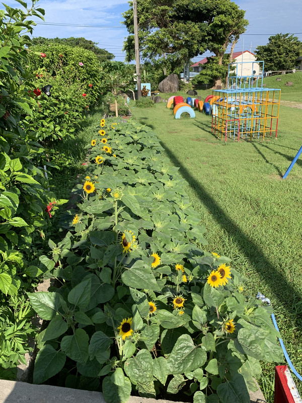 Bf6f66dfaf5e4d0b8e18ea2cc37a5e82