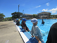 Img_1077
