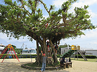 Img_2706_2