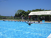 Img_5297