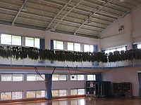 Img_5925