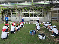 Img_5931