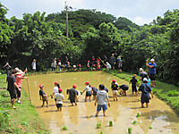 Img_0061