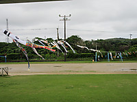 Img_0075