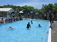 Img_0730