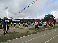 Img_1412 Img_1412