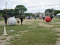 Img_1580 Img_1580