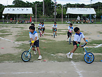 Img_1653 Img_1653
