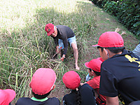 Img_1827 Img_1827