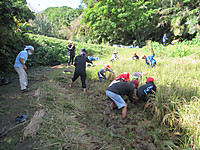 Img_1843 Img_1843