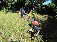Img_1846 Img_1846