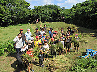 Img_1853 Img_1853