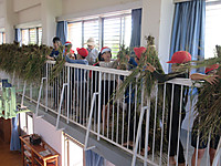 Img_1863 Img_1863