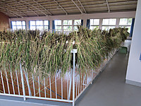 Img_1869 Img_1869